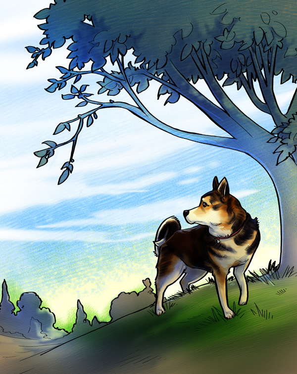 pooka_final_fb